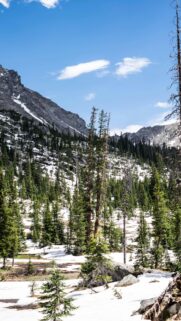 Snowy Rocky Mountain Forest Scenery Mobile Phone Wallpaper