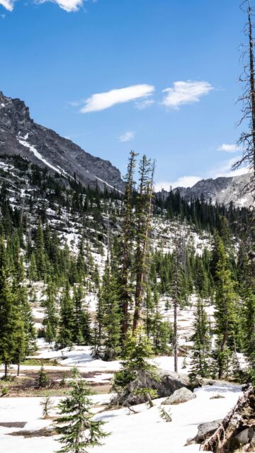 Snowy Rocky Mountain Forest Scenery Mobile Phone Wallpaper
