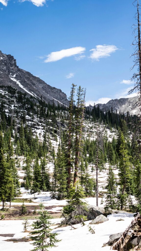 Snowy Rocky Mountain Forest Scenery Mobile Phone Wallpaper