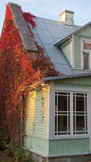 Rustic Green House with Red Autumn Vines Aesthetic Phone Wallpaper