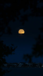 Golden Supermoon Lunar Energy Spiritual Aesthetic 4K Mobile Wallpaper