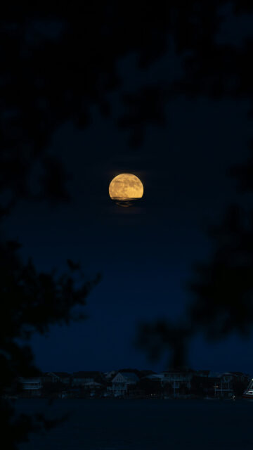 Golden Supermoon Lunar Energy Spiritual Aesthetic 4K Mobile Wallpaper