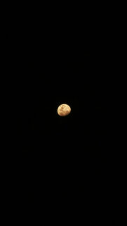Golden Gibbous Moon Celestial Energy Spiritual Aesthetic Wallpaper