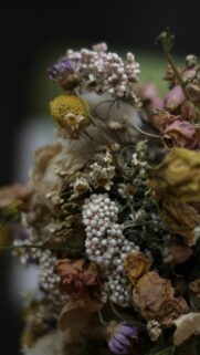 Rustic Dried Wildflower Bouquet Aesthetic Phone Wallpaper