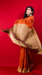 Elegant Woman in Traditional Orange Silk Saree Mobile Wallpaper