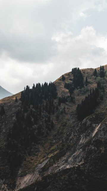 Serene Alpine Mountain Forest Mobile Landscape Wallpaper