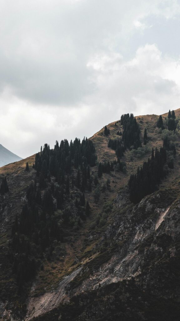 Serene Alpine Mountain Forest Mobile Landscape Wallpaper