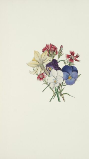 Vintage Botanical Floral Illustration Bouquet Phone Wallpaper