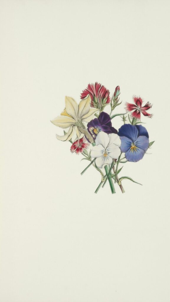 Vintage Botanical Floral Illustration Bouquet Phone Wallpaper