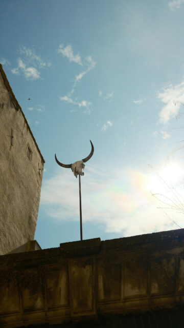 Taurus Zodiac Bull Skull Spiritual Energy Earth Sign Wallpaper
