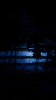 Dark Winter Forest Night Scene with Snow and Bench Mobile Wallpaper