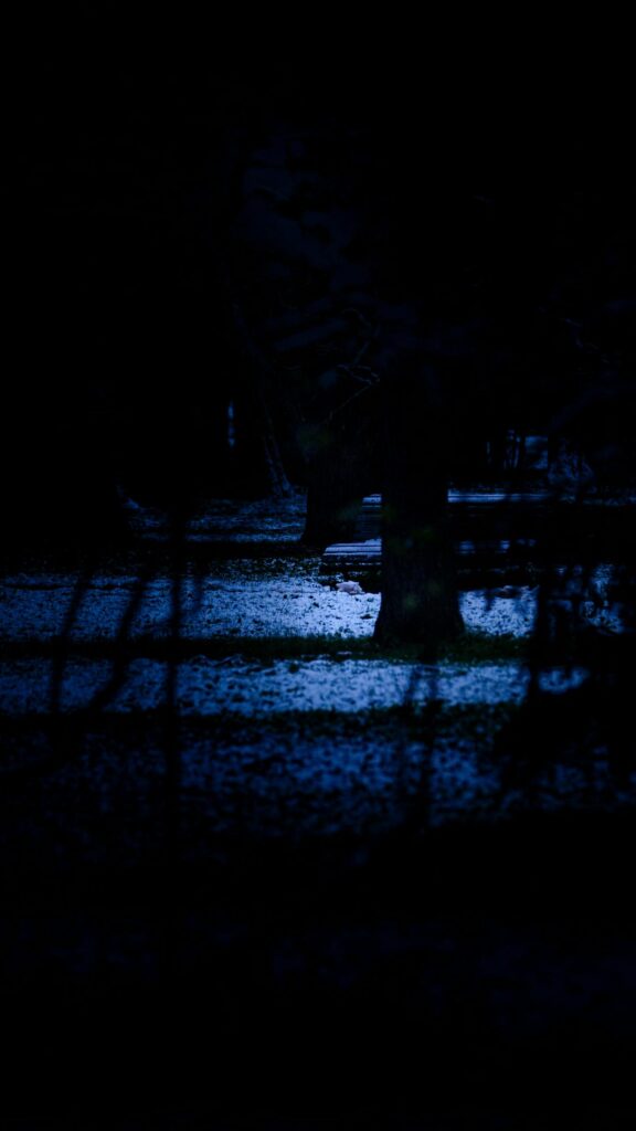 Dark Winter Forest Night Scene with Snow and Bench Mobile Wallpaper