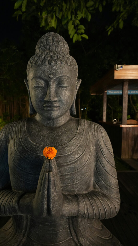 Zen Buddha Meditation Spiritual Energy Wallpaper