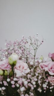 Soft Pastel Pink Rose and Baby’s Breath Floral Aesthetic Wallpaper