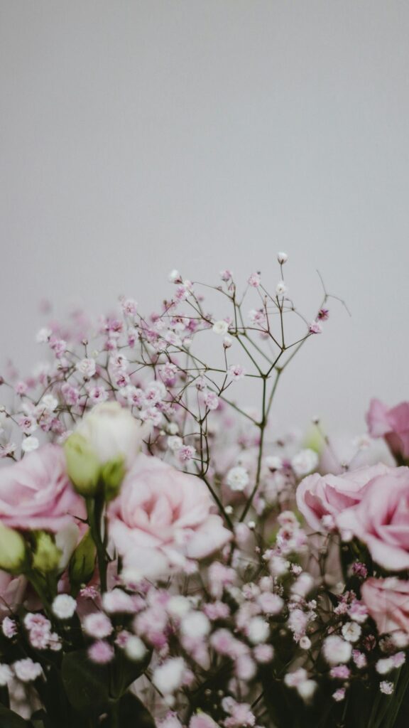Soft Pastel Pink Rose and Baby's Breath Floral Aesthetic Wallpaper