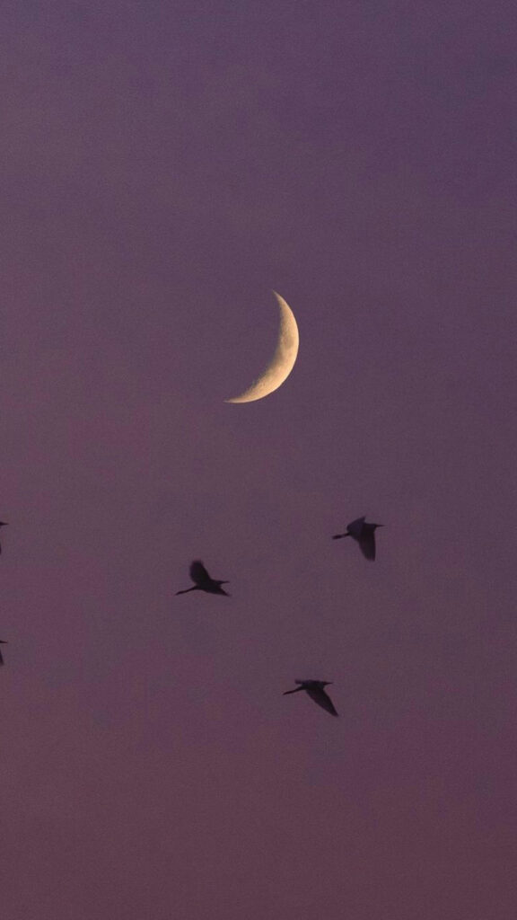 Crescent Moon Phase Spiritual Manifestation Energy Aesthetic Wallpaper