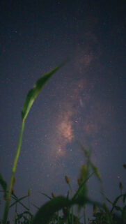 Cosmic Milky Way Galaxy Night Sky Spiritual Manifestation Wallpaper
