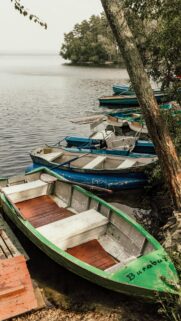 Serene Lake Shore with Colorful Rowboats and Lakeside Forest Wallpaper
