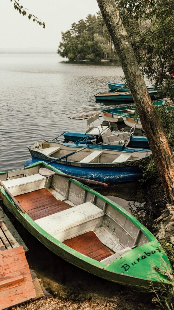 Serene Lake Shore with Colorful Rowboats and Lakeside Forest Wallpaper