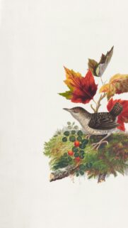 Vintage Botanical Bird Illustration Autumn Leaves Phone Wallpaper