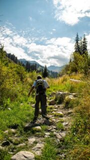 Hiker Trekking Through Sunny Mountain Valley Mobile Wallpaper