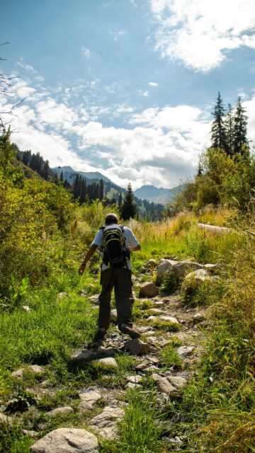 Hiker Trekking Through Sunny Mountain Valley Mobile Wallpaper