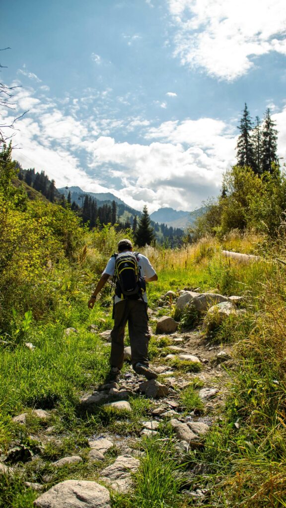 Hiker Trekking Through Sunny Mountain Valley Mobile Wallpaper