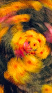 Abstract Swirling Golden Marigold Floral Pattern Phone Wallpaper
