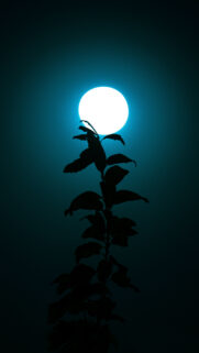 Ethereal Full Moon Silhouette for Spiritual Intuition and Manifestation Wallpaper