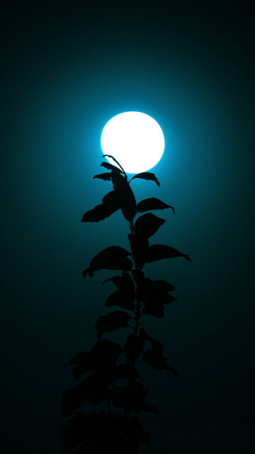 Ethereal Full Moon Silhouette for Spiritual Intuition and Manifestation Wallpaper