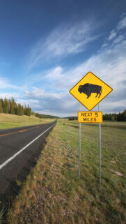 Taurus Earth Energy Bison Landscape Zodiac Sign Wallpaper