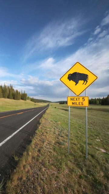 Taurus Earth Energy Bison Landscape Zodiac Sign Wallpaper
