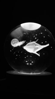 Mystical Lunar Energy and Cosmic Whale Sphere Spiritual Wallpaper