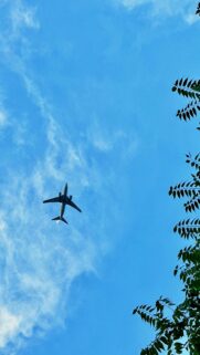 Airplane Soaring Through Blue Sky Mobile Background Wallpaper
