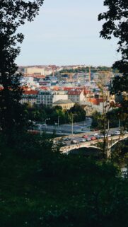 Scenic Prague Cityscape View Through Trees Phone Wallpaper