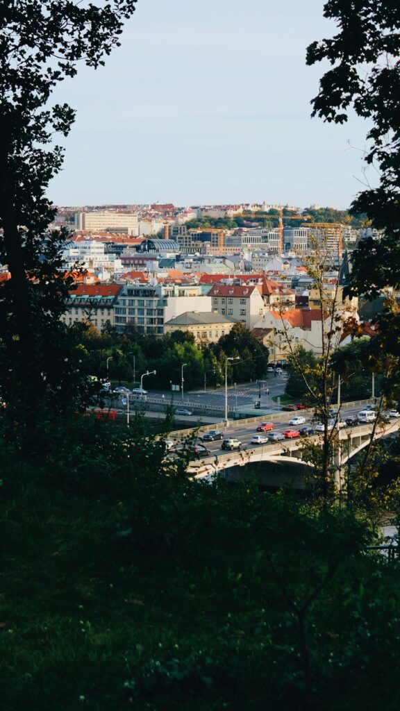 Scenic Prague Cityscape View Through Trees Phone Wallpaper
