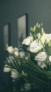 Elegant White Lisianthus Flowers with Green Palm Leaves Wallpaper