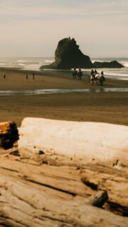 Horseback Riding on Misty Oregon Coast Beach Scenic Mobile Wallpaper