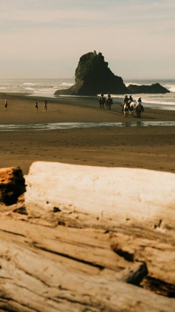 Horseback Riding on Misty Oregon Coast Beach Scenic Mobile Wallpaper