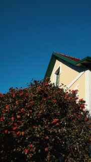 Stunning Yellow House with Vibrant Red Flowers Mobile Wallpaper