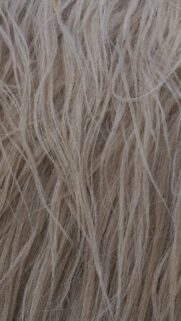 Natural Beige Animal Fur Texture Abstract High Quality Mobile Wallpaper