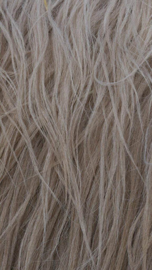 Natural Beige Animal Fur Texture Abstract High Quality Mobile Wallpaper