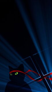 Minimalist Black Cat Ninja Wallpaper with Glowing Blue Rays and Red Scarf