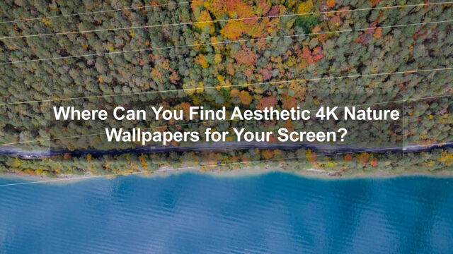 Where Can You Find Aesthetic 4K Nature Wallpapers for Your Screen?