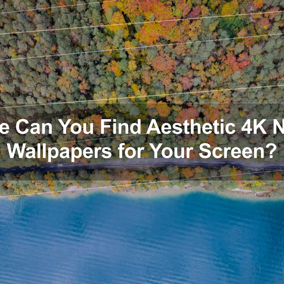 Where Can You Find Aesthetic 4K Nature Wallpapers for Your Screen?