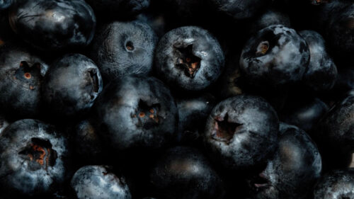 Blueberries, Berries, Ripe Wallpapers Free Download