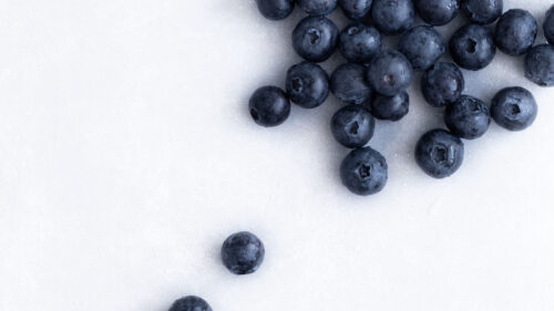 Blueberries, Berries, Wet, Wallpapers Free Download