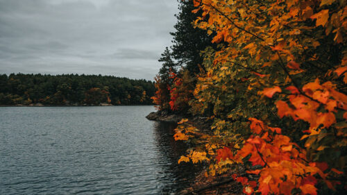 Coast, Lake, Autumn, Wallpapers Free Download For Desktop