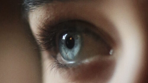 Eye, Pupil, Gray, Wallpapers Free Download For Desktop