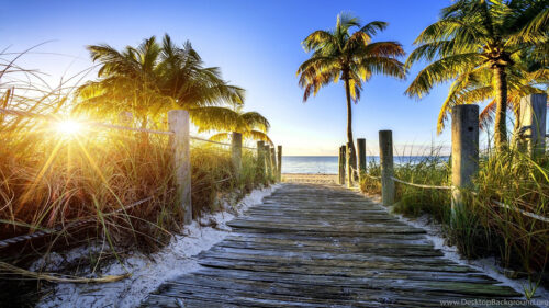 Florida Wallpaper – Best Florida Wallpapers Download